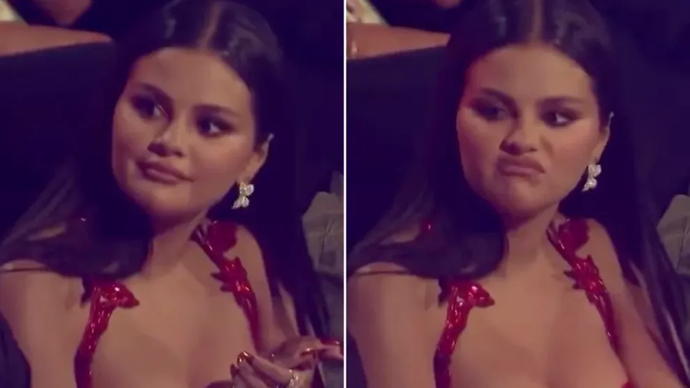 Selena Gomez Caught Sneering at Chris Brown