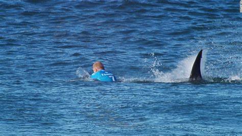 Video Reveals Child Victim Screaming in Bahamas Shark Attack
