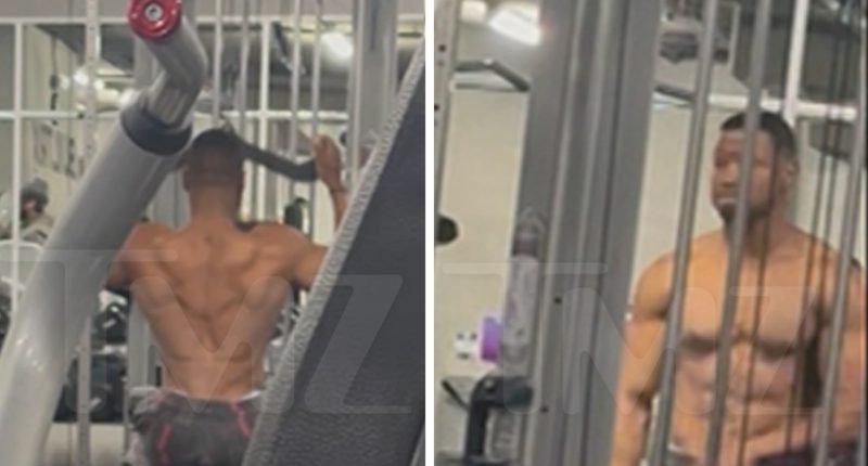 Jonathan Majors Dedicates Himself to Intense Gym Training for Potential Film Role
